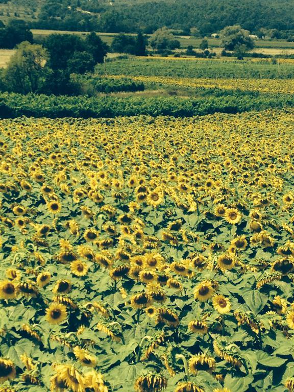 Tre Girasoli Monte San Savino Zimmer foto